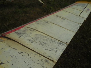 90584.JPG