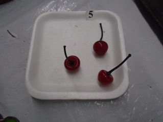 92053.JPG
