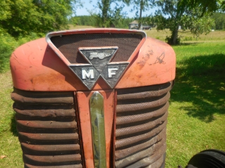 96519.JPG