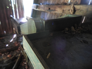 96768.JPG